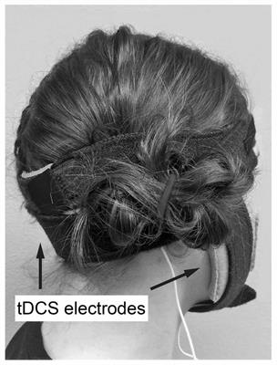 Cerebellar Transcranial Direct Current Stimulation Modulates Corticospinal Excitability During Motor Training